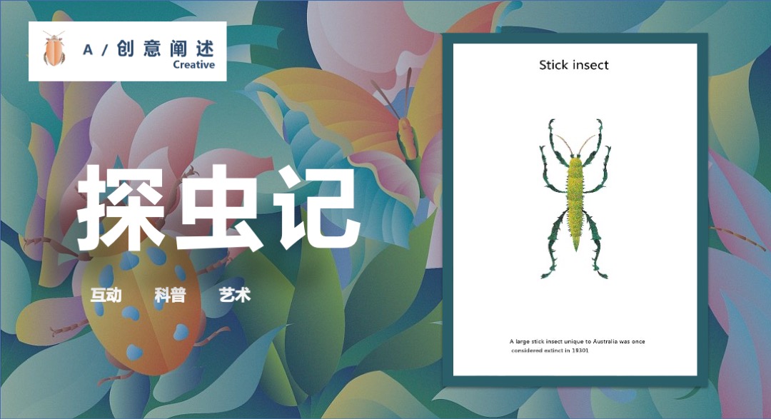 购物中心昆虫主题艺术展（探虫记主题）活动策划方案