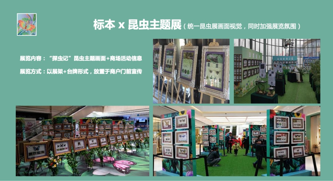 购物中心昆虫主题艺术展（探虫记主题）活动策划方案