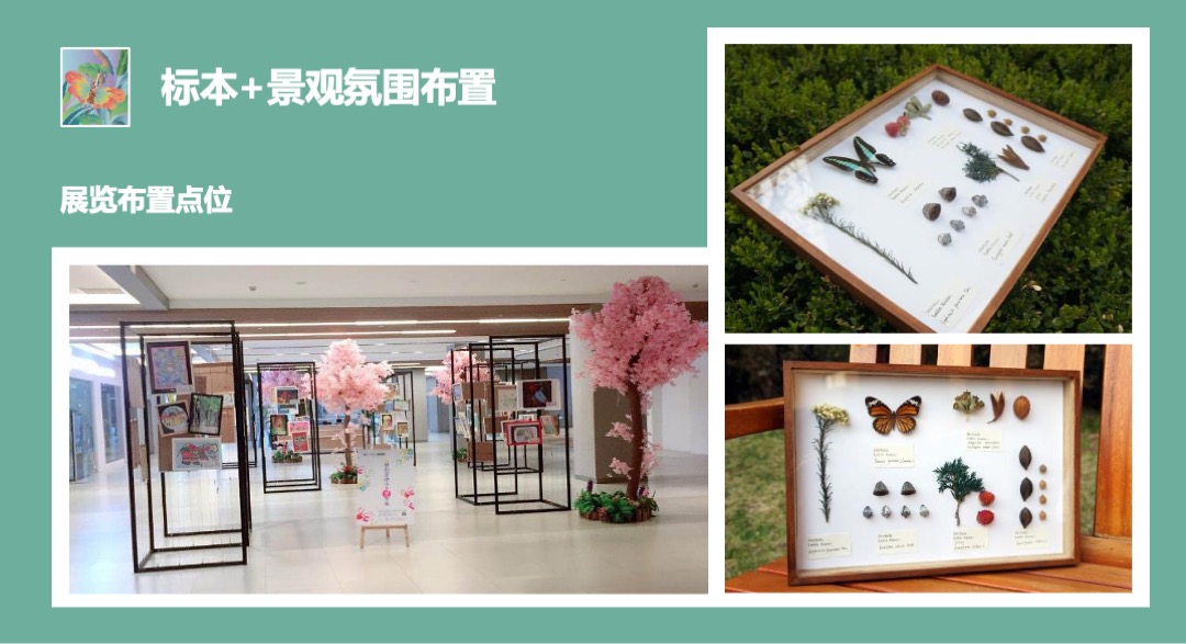 购物中心昆虫主题艺术展（探虫记主题）活动策划方案
