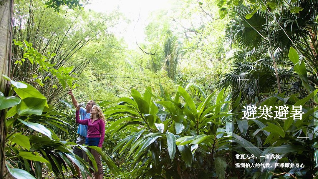 西双版纳绿城·春江明月年度整合推广执行案