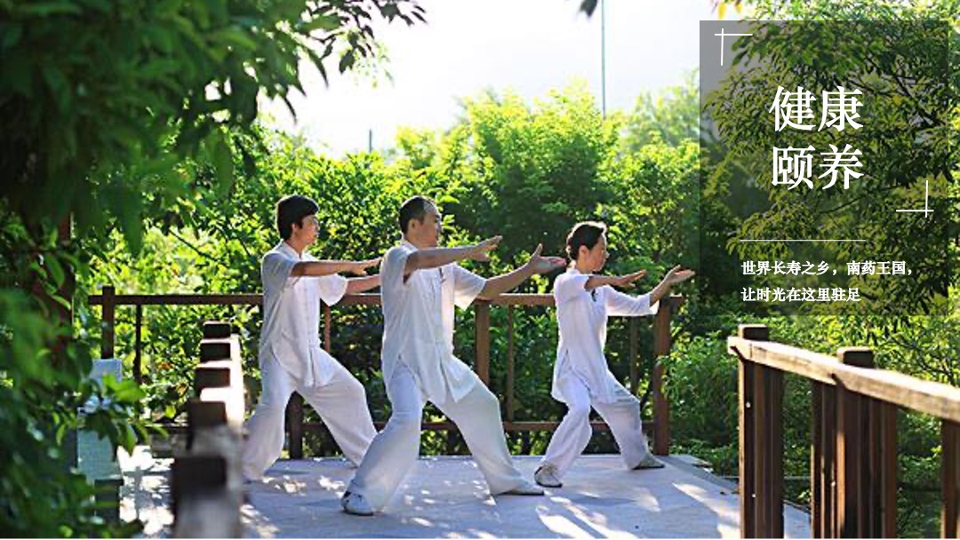 西双版纳绿城·春江明月年度整合推广执行案