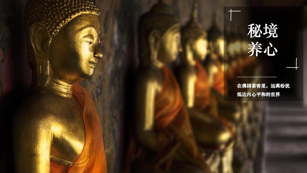 西双版纳绿城·春江明月年度整合推广执行案