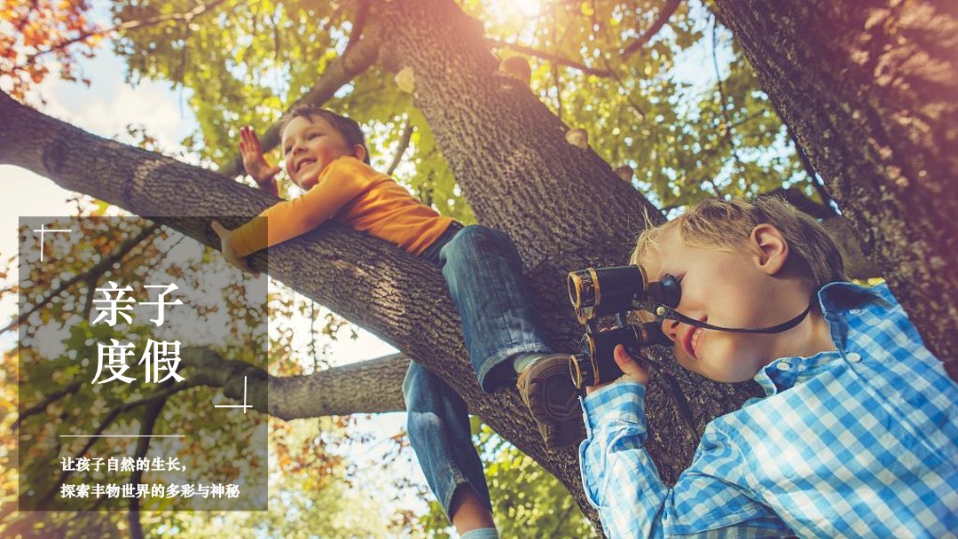 西双版纳绿城·春江明月年度整合推广执行案