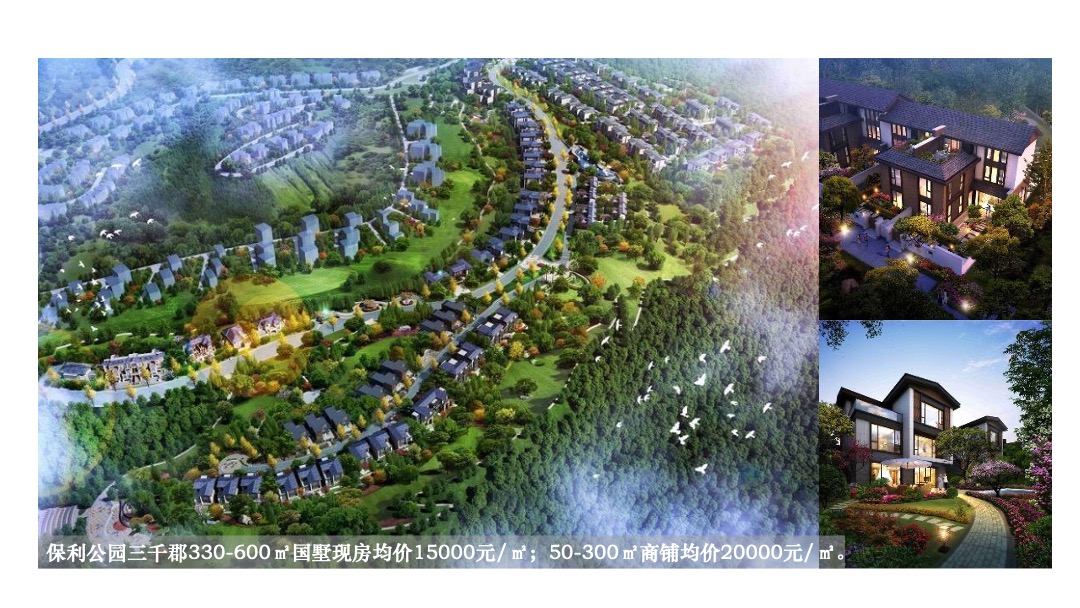 茵特拉根年度整合推广方案