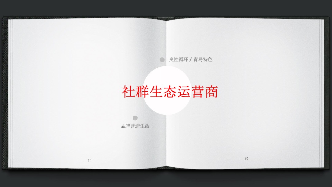 保利地产(青岛)品牌年度推广方案