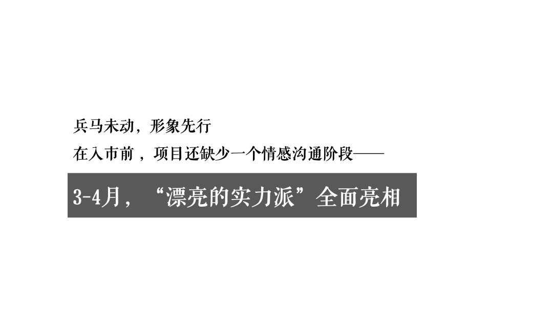 东莞保利珑远国际广场年度策略推广方案-金燕达观