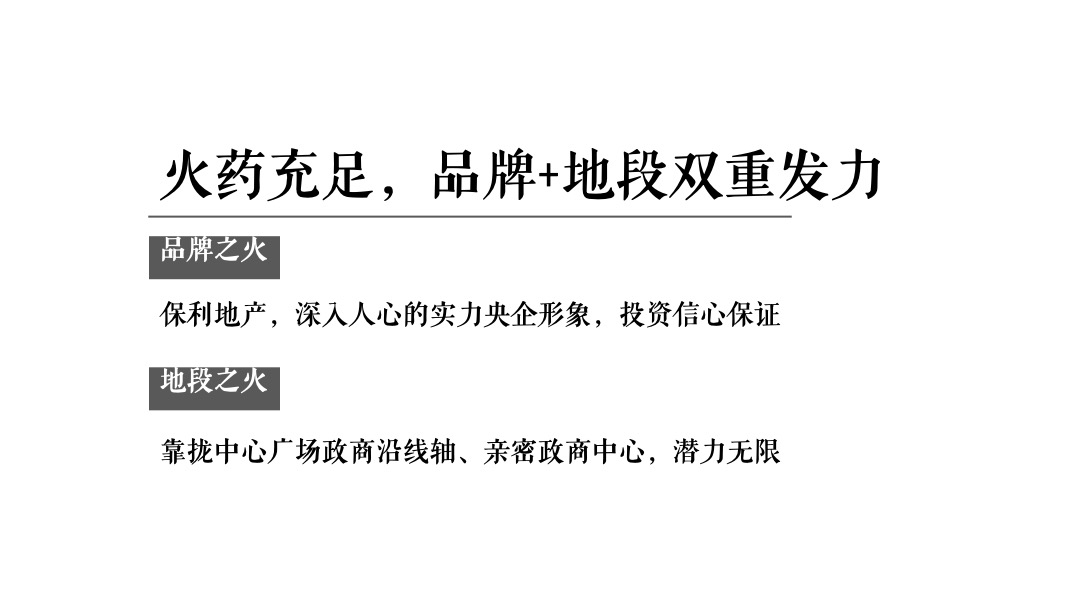 东莞保利珑远国际广场年度策略推广方案-金燕达观