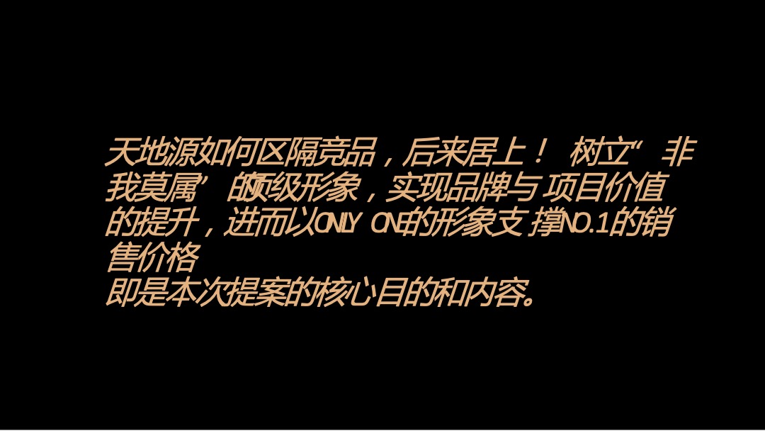 天地源一里洋房项目创意提报