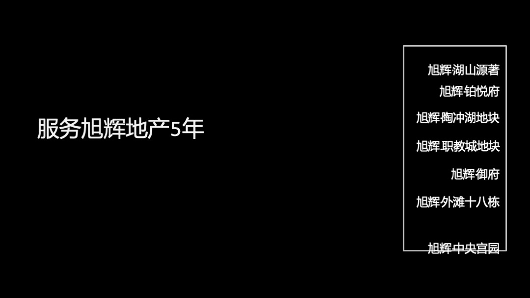 伟星·壹号院品牌推广策略