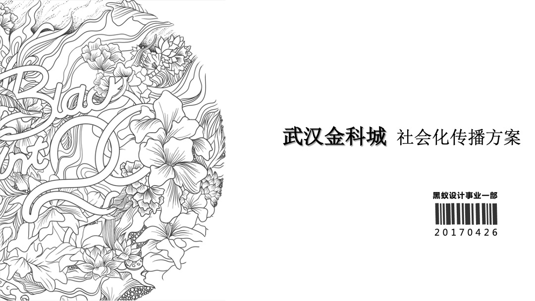 武汉金科品牌及金科城提报