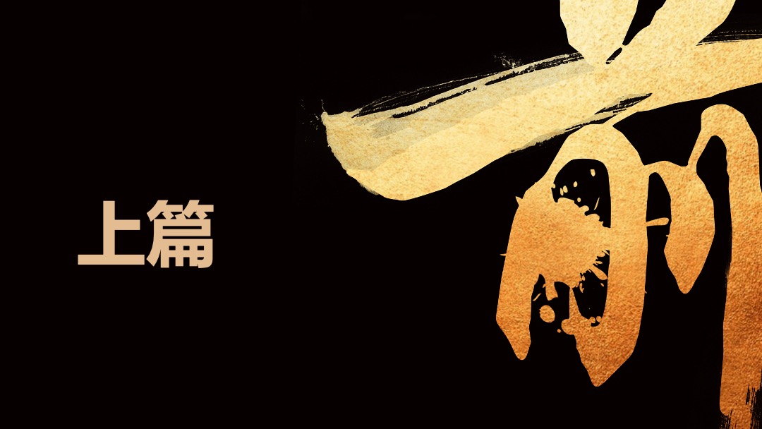 郑州双地王万科世玠营销推广案