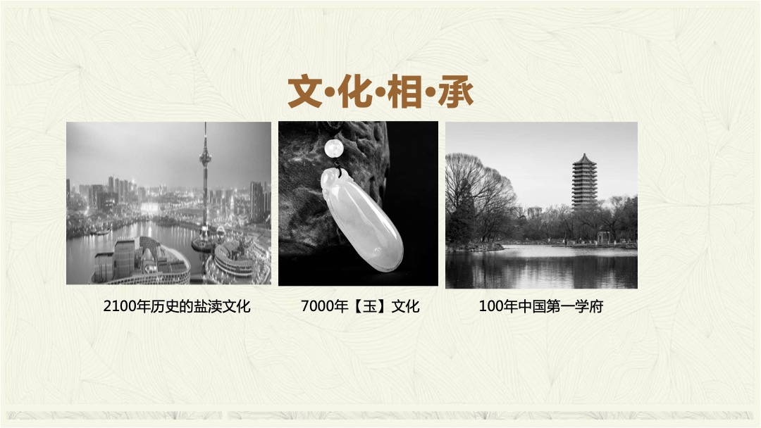 北大资源•颐和玺悦开盘前策略提报