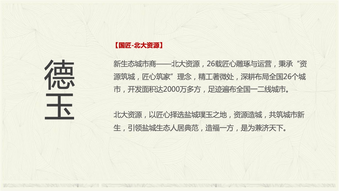 北大资源•颐和玺悦开盘前策略提报