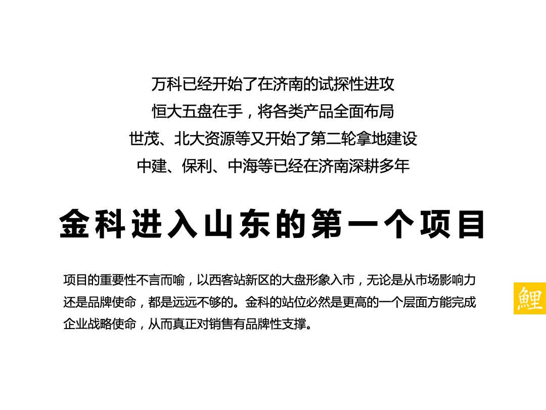 金科城项目推广策略方案