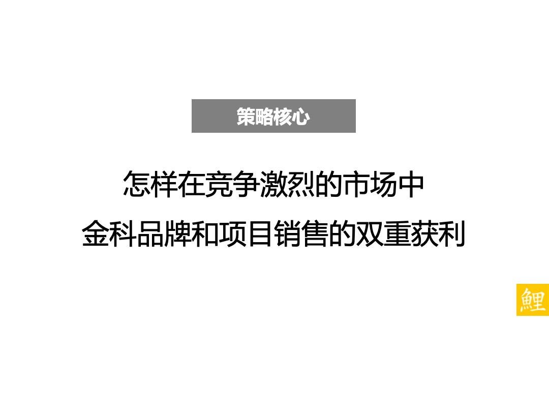 金科城项目推广策略方案