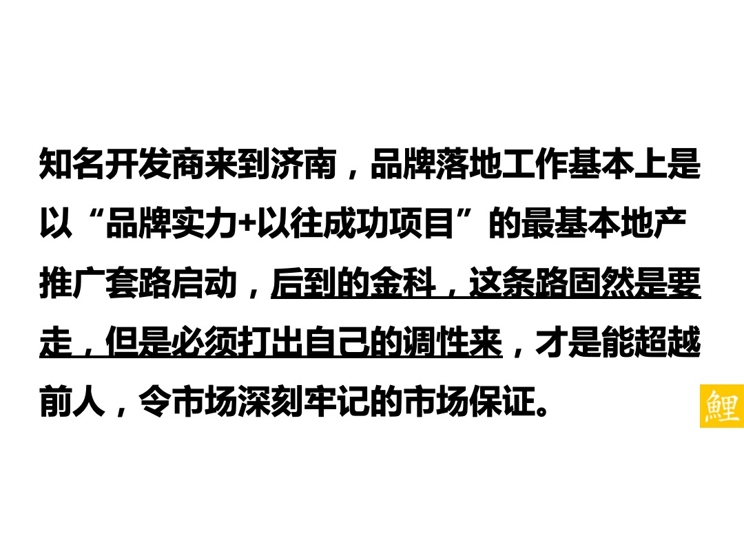 金科城项目推广策略方案