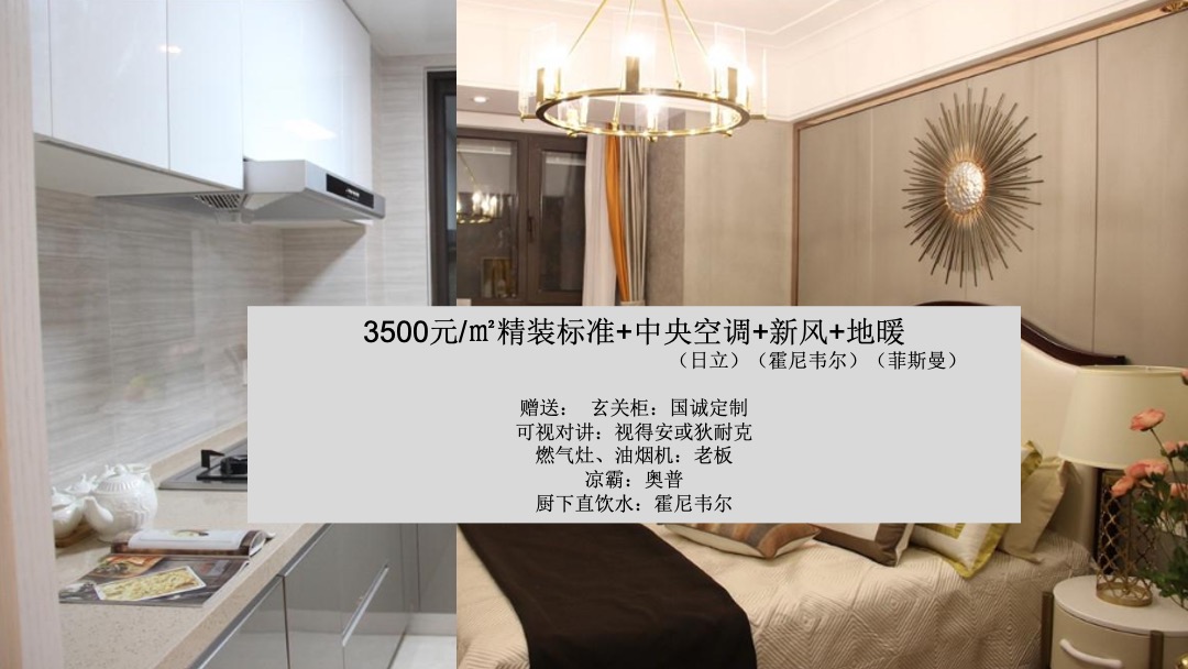 朗诗红树林年营销推广策略