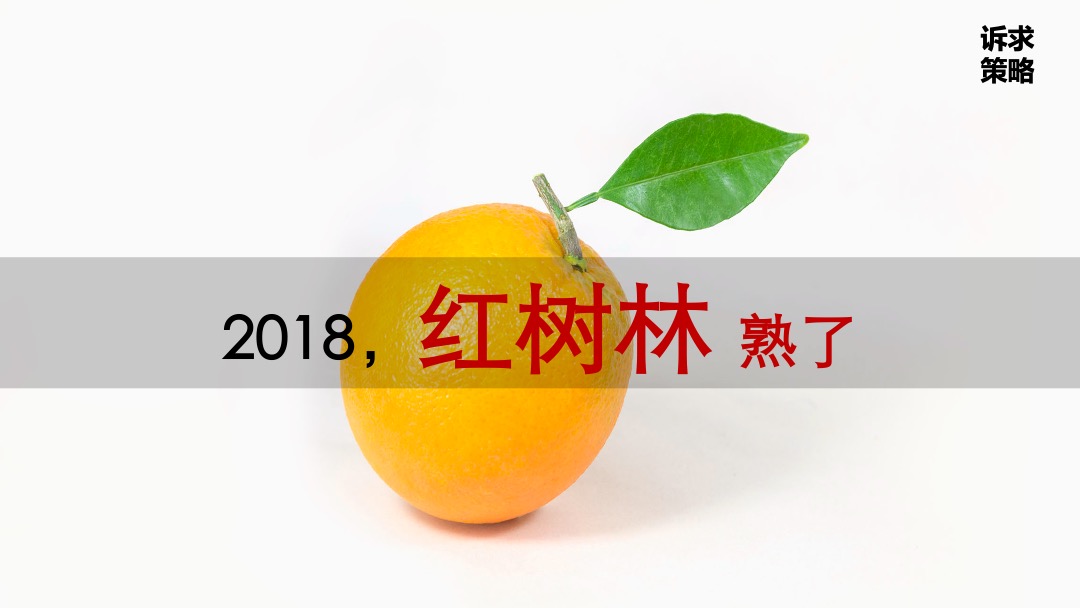 朗诗红树林年营销推广策略
