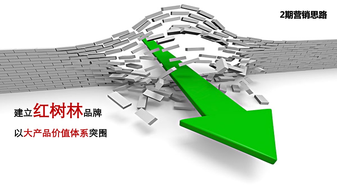 朗诗红树林年营销推广策略