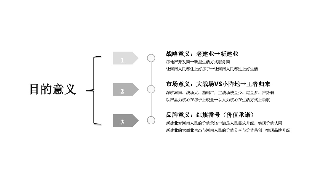 建业年度品牌推广战役方案
