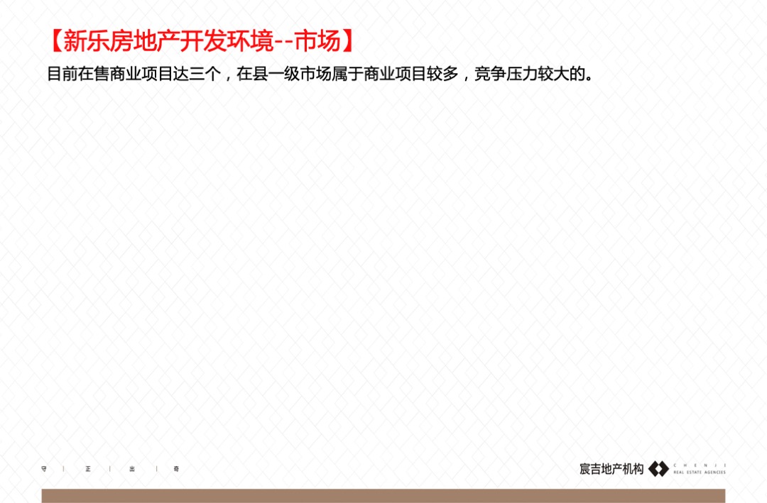 新乐礼堂街商业广场项目全案营销推广报告
