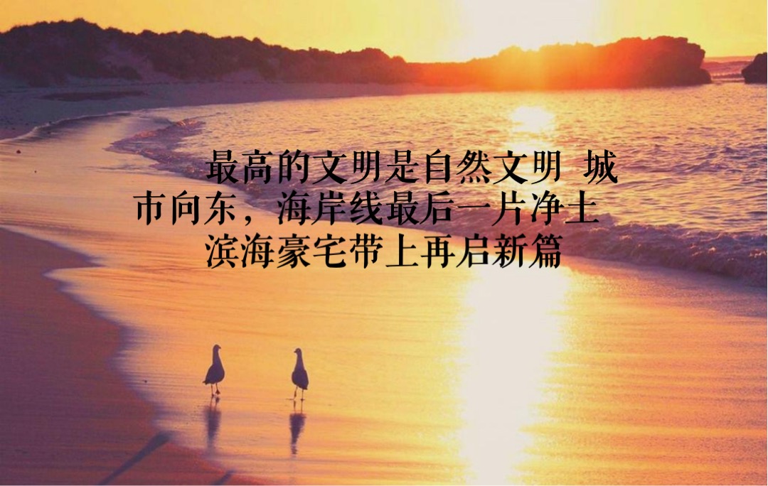 青岛青建君庭别墅提报方案