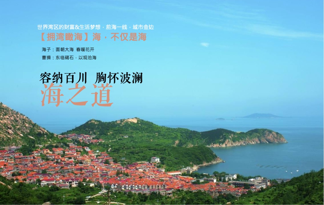 青岛青建君庭别墅提报方案