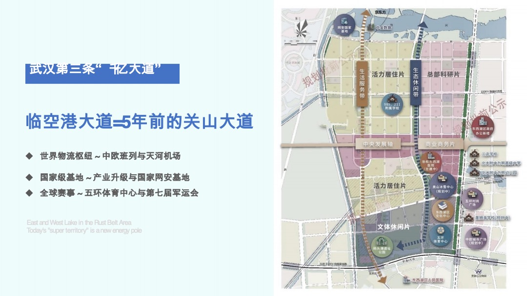 金地 北辰两大开发商东西湖项目年度策略推广案