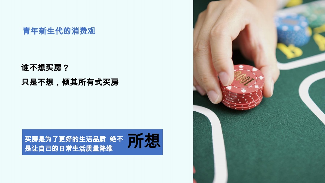 金地 北辰两大开发商东西湖项目年度策略推广案