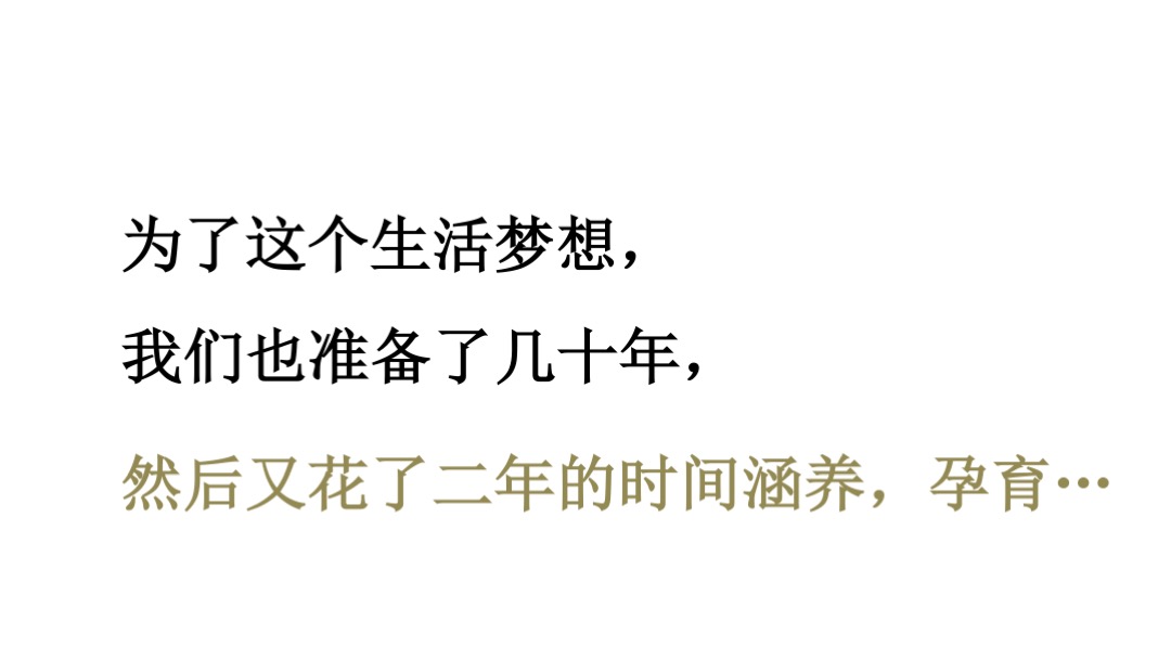 越秀星汇云城年度整合传播方案