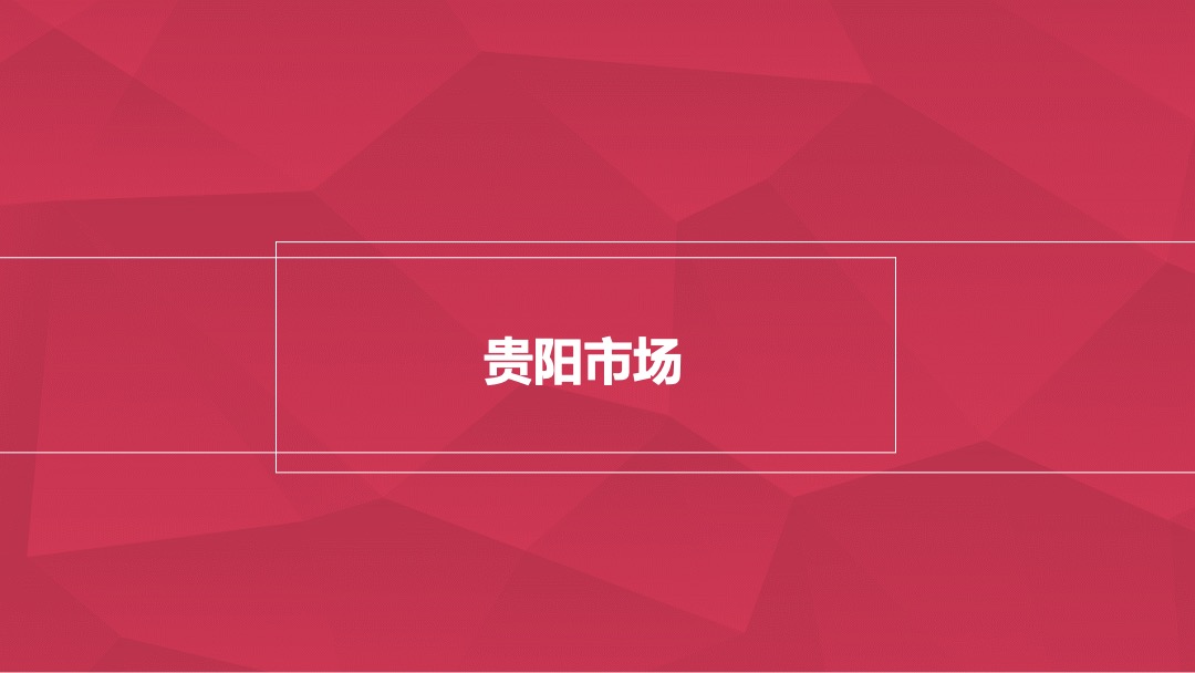 麓湖宫年度营销方案