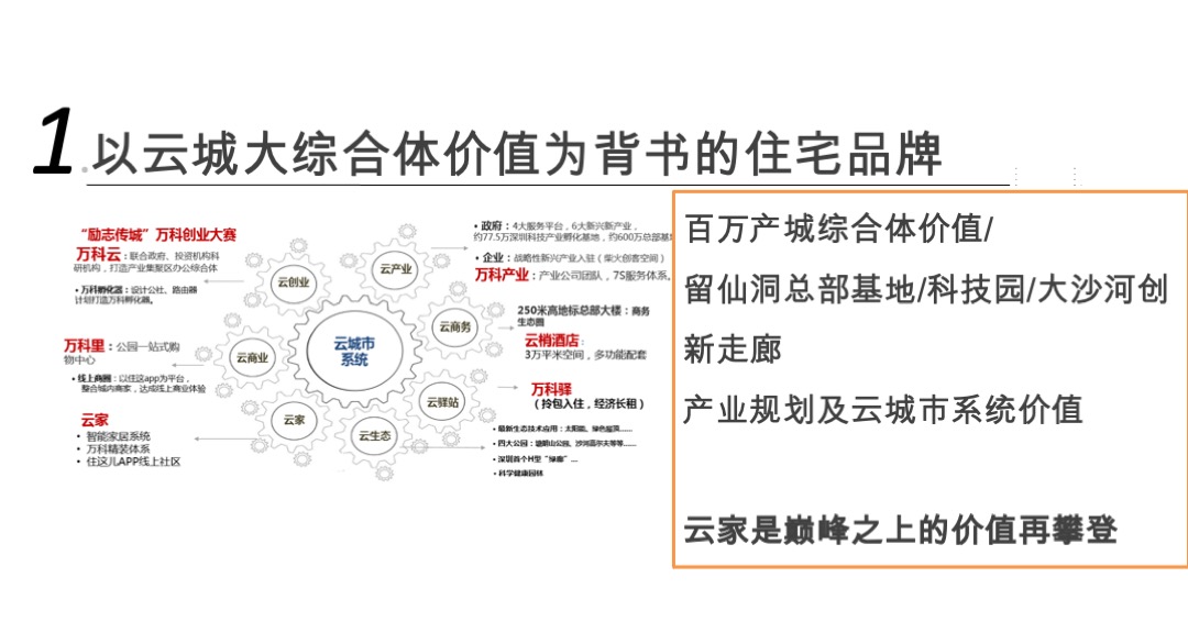 万科云城年度推广方案