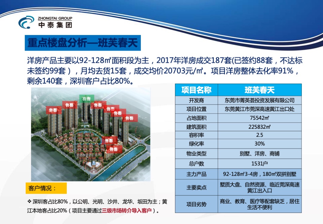 东莞峰境项目年度营销方案
