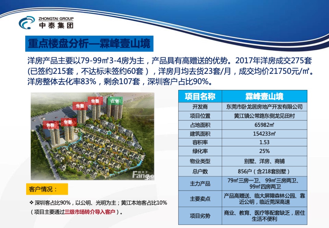 东莞峰境项目年度营销方案