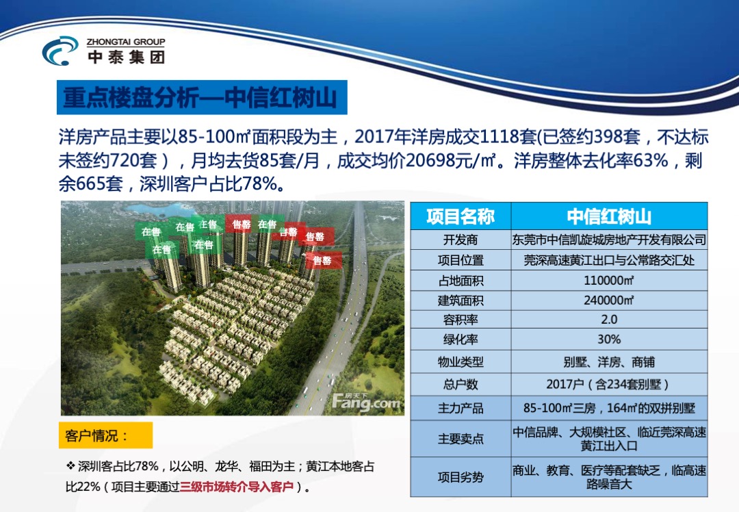 东莞峰境项目年度营销方案