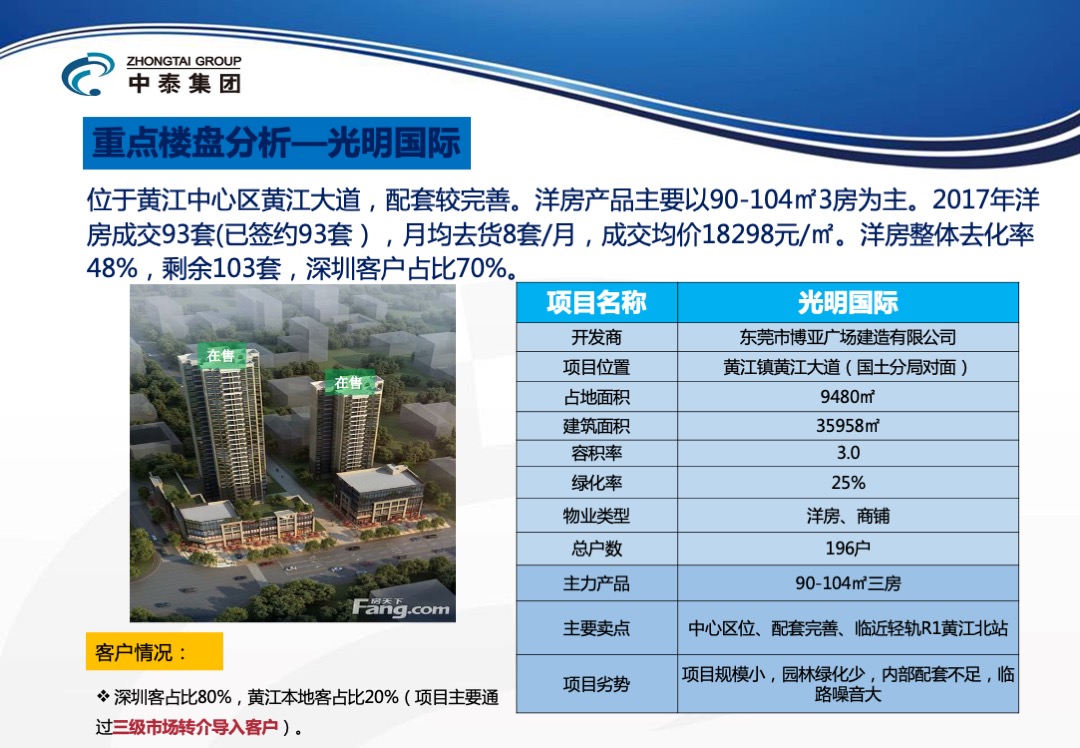 东莞峰境项目年度营销方案