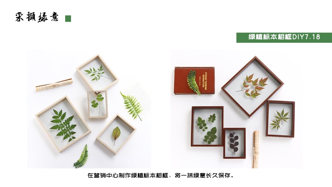 地产项目夏日暑期系列暖场（乐居城央 园享自然主题）活动策划方案