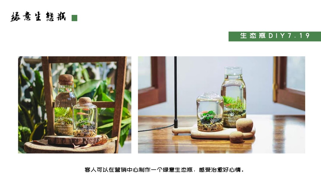 地产项目夏日暑期系列暖场（乐居城央 园享自然主题）活动策划方案