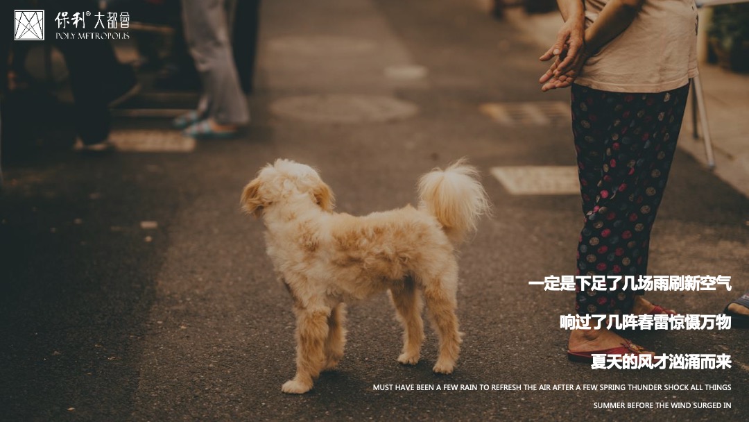 7月月度夏日主题暖场（唤醒夏日美好主题）活动策划方案