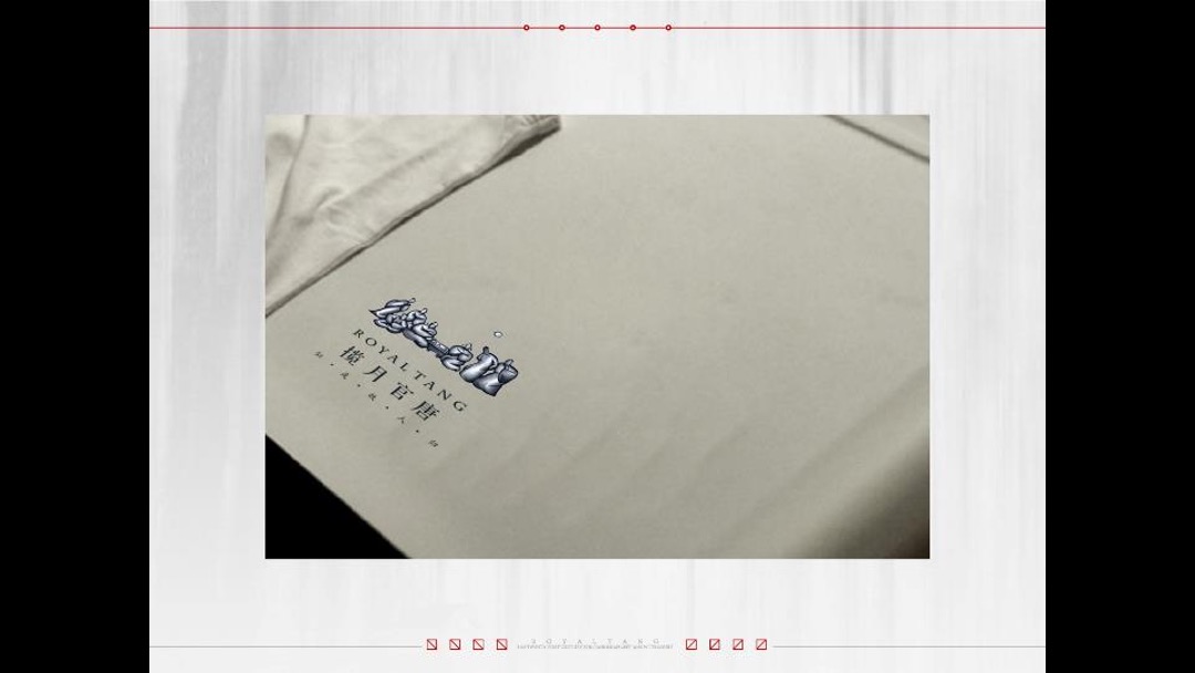 西安揽月府推广提案