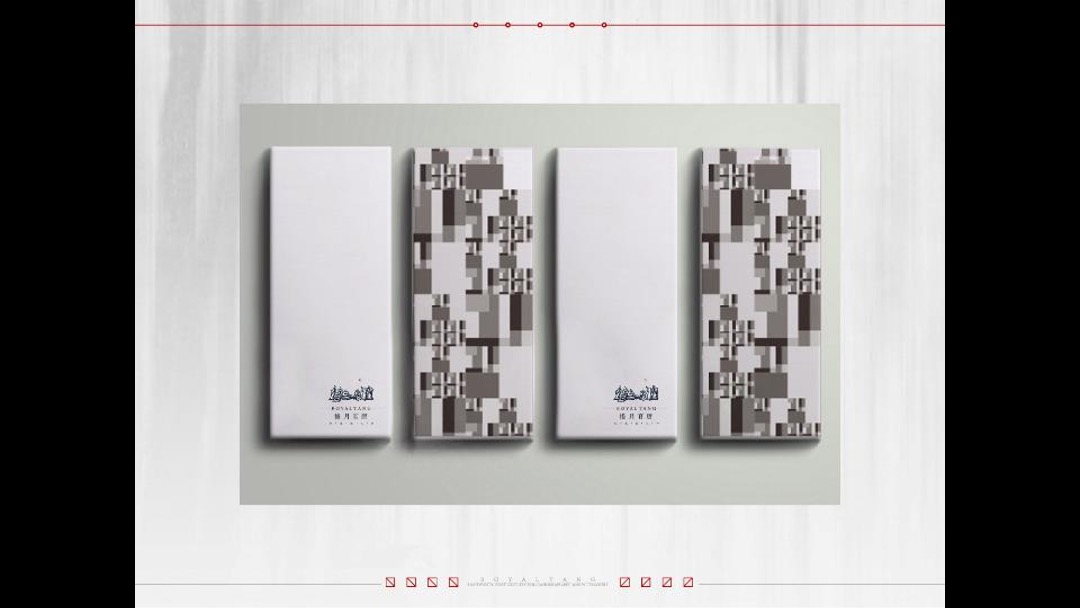 西安揽月府推广提案