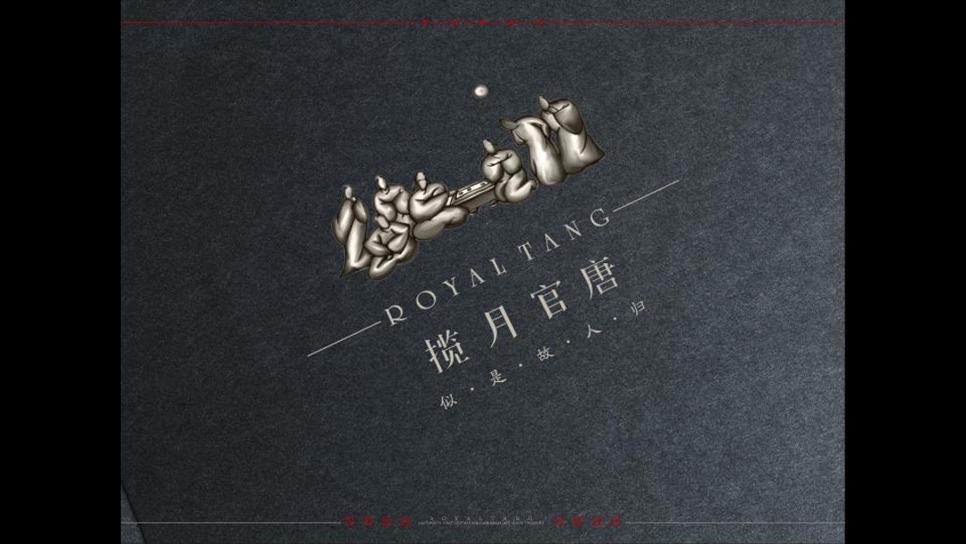 西安揽月府推广提案