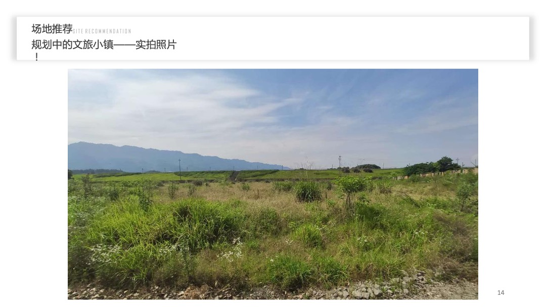 地产项目“有YOUNG”露营音乐节活动策划方案