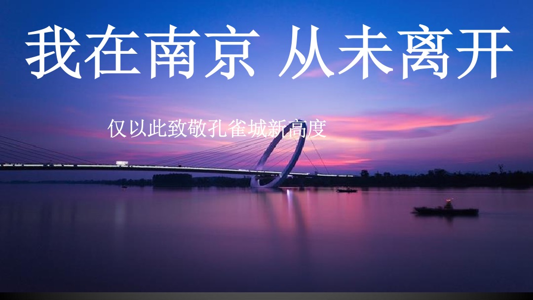 南京新江北孔雀城年度推广方案