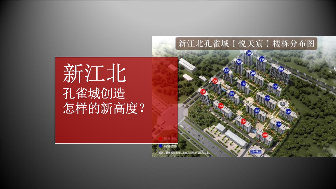 南京新江北孔雀城年度推广方案