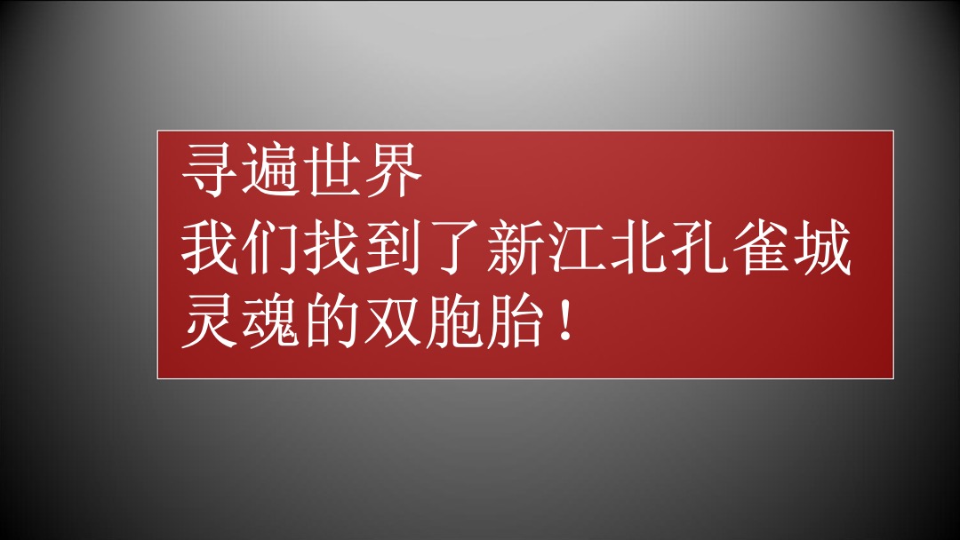 南京新江北孔雀城年度推广方案