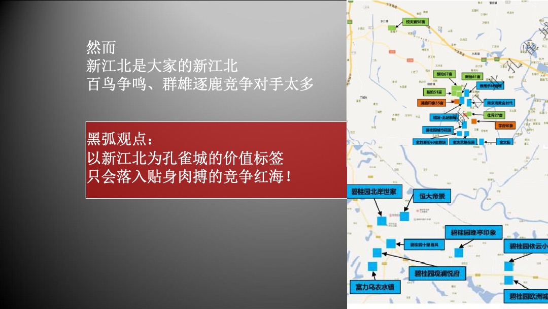 南京新江北孔雀城年度推广方案