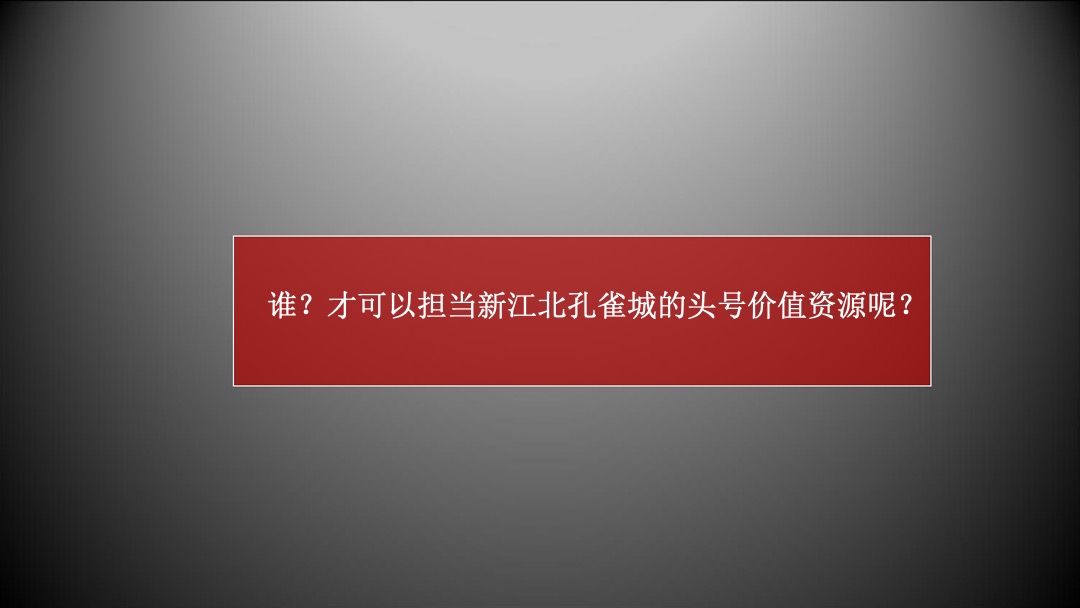 南京新江北孔雀城年度推广方案