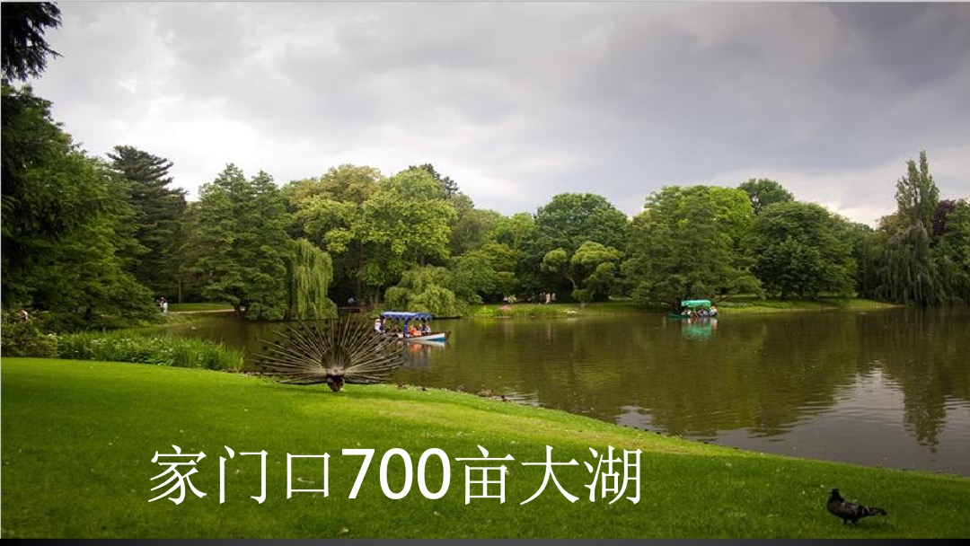 南京新江北孔雀城年度推广方案