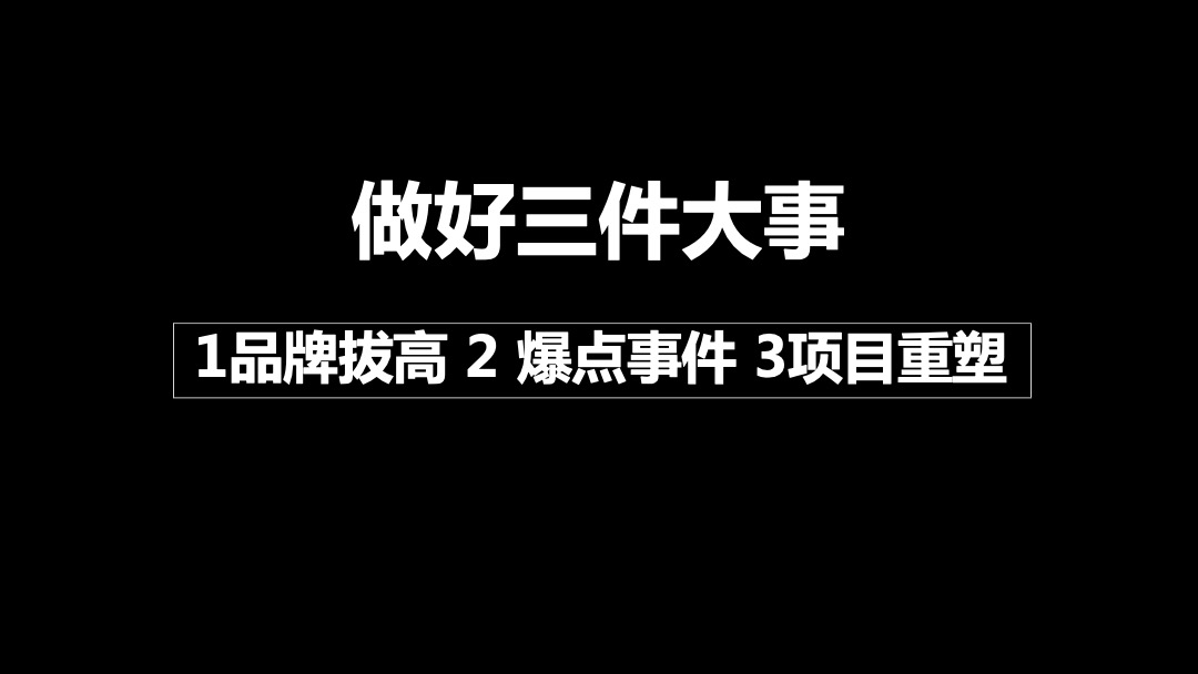 金茂府唐皇年度推广执行报告